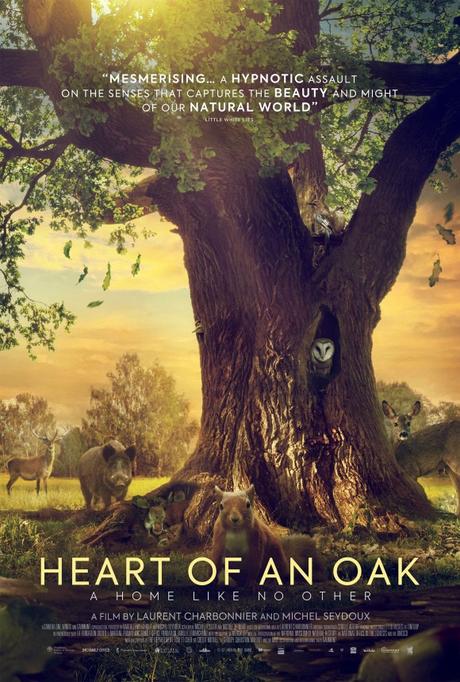 Heart of an Oak – Release News