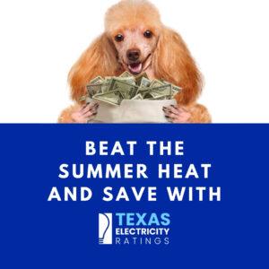 Save on Abilene 12 month electricity plans for summer when you shop low prices now.