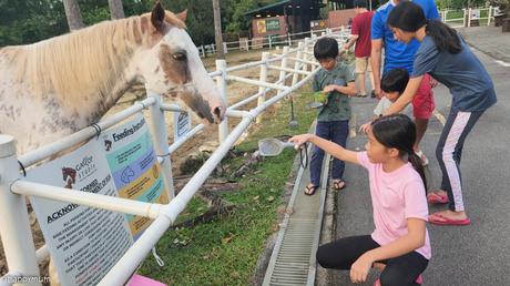 A Splishy Splashy Celebration - Ariel is 11 and Asher is 8!