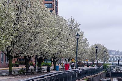 Brancing out in Hoboken