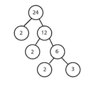 factor tree of 24