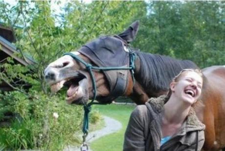 Laughing Horse