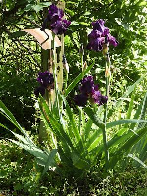 A Few of My Favorite Things