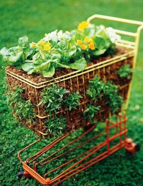 Shopping Trolley garden