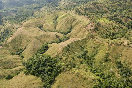 Paying people to replant tropical forests – and letting them harvest the wood – can pay off for climate, justice and the environment