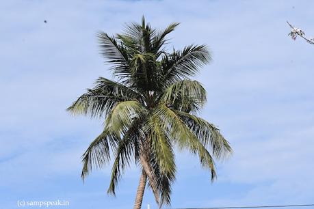 Blue sky !  ~  நீல வானம் நீயும் நானும்