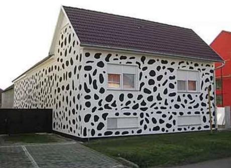 House covered in Dalmatian spots