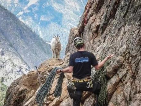 Goat telling mountain climber how to do it