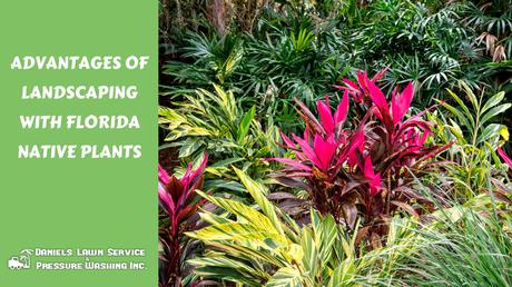 Advantages of Landscaping with Florida Native Plants