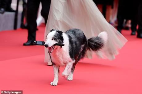 Messie, walks on red carpet, garners glory !!