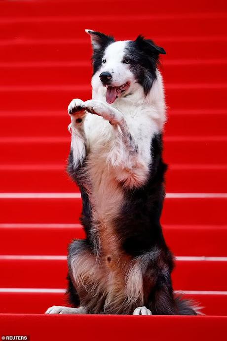 Messie, walks on red carpet, garners glory !!