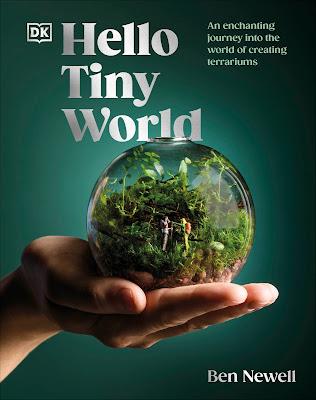 The Questions - Ben Newell: author Hello Tiny World