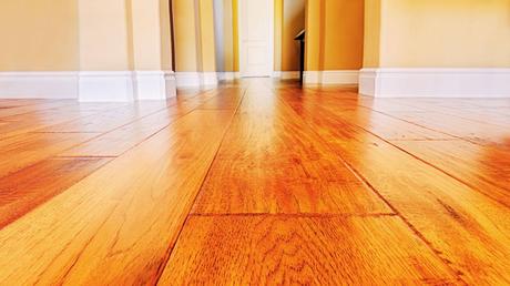 Restoring Your Hardwood Floors: A Guide to Water Removal