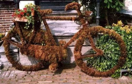 Bicycle Repurposed as Moss Display
