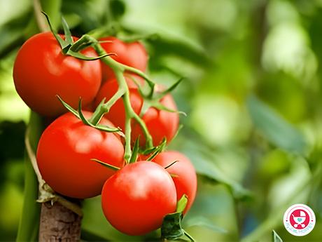 Tomato Dosa for Kids