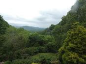 Serenity Outside; Semi-Controlled Chaos Inside