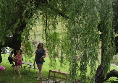 At the Party At the Party