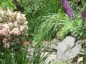 Foxglove, Azalea, Petunia, Verbena!