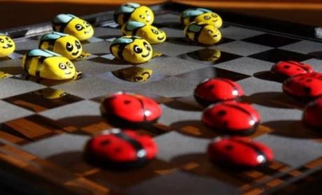 Lady Bugs vs. Bumble Bees Checkers Set
