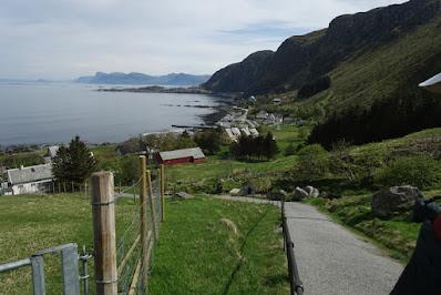 BIRD WATCHING ON RUNDE ISLAND, NORWAY: Above the Cliffs and Along the Shore