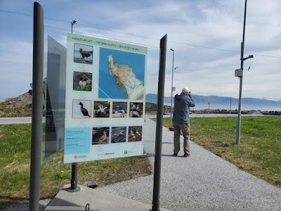 BIRD WATCHING ON RUNDE ISLAND, NORWAY: Above the Cliffs and Along the Shore