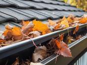 Insurance Gutter Cleaning: What Every Homeowner Needs Know