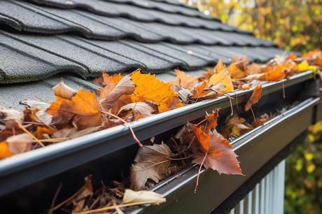 Insurance and Gutter Cleaning: What Every Homeowner Needs to Know