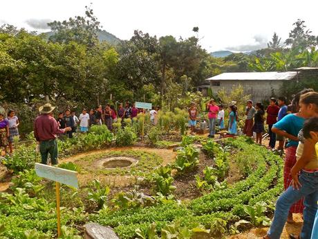 Students gather around a field to listen to a farmer.