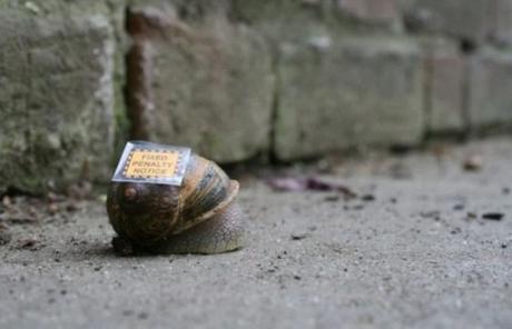 Snail with Parking Ticket