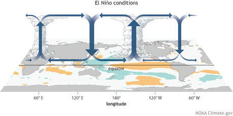 Hurricane forecasts point to a dangerous 2024 Atlantic season, with La Niña and a persistently warm ocean teaming up to power fierce storms