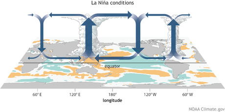 Hurricane forecasts point to a dangerous 2024 Atlantic season, with La Niña and a persistently warm ocean teaming up to power fierce storms