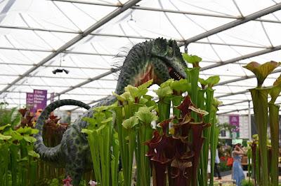 RHS Chelsea  Flower Show 2024 - Part Two