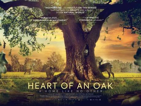 Immerse yourself in the captivating world of 'Heart of an Oak' - a stunning nature documentary capturing the beauty and harmony of wildlife.