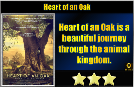 Heart of an Oak (2024) Movie Review