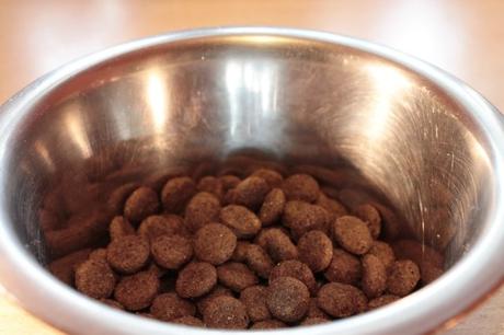 Tailored Dog Food for Every Breed and Size: An Overview