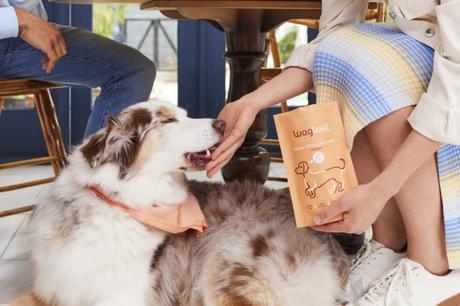 WagWell brings standards from the beauty industry to the animal welfare sector