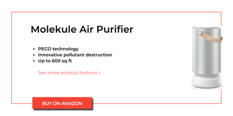 Molekule Air Purifier Review