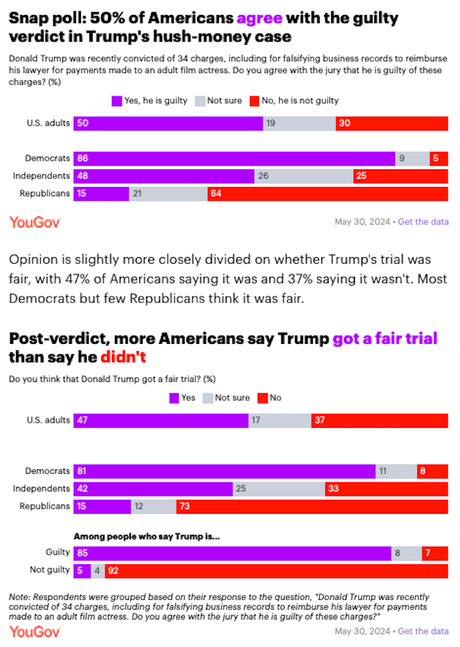50% Of Public Agrees With Trump Verdict (30% Don't)