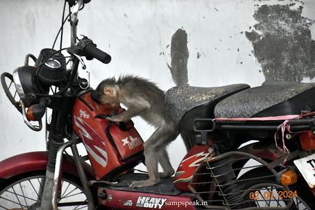 knowledge search ! knowledge search !