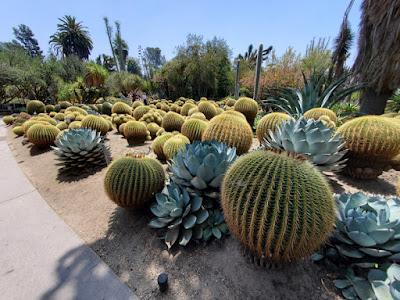 MAGNIFICENT CACTI AND SUCCULENTS: The Desert Garden at the Huntington, San Marino, CA