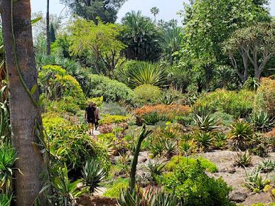 MAGNIFICENT CACTI AND SUCCULENTS: The Desert Garden at the Huntington, San Marino, CA