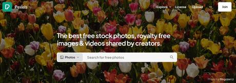 Can I Use Stock Images on My Website? Web Dev Secrets Unveiled Pexels stock image website