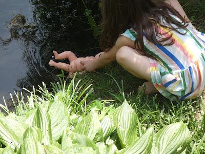 At the (Goldfish) Pool