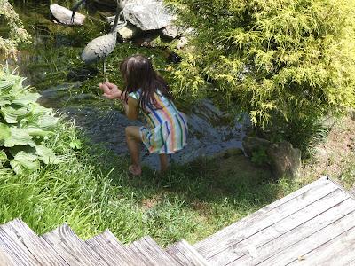 At the (Goldfish) Pool