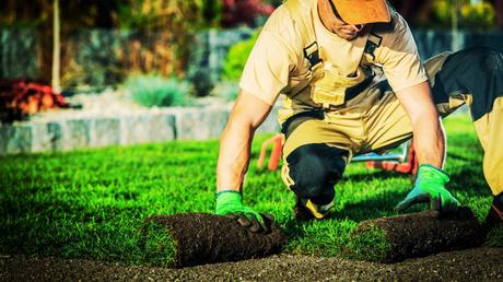 Landscaping Trends: Staying Ahead of the Curve