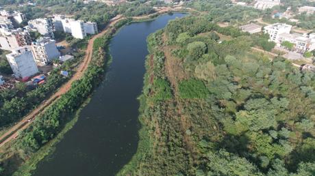 SEEDS Champions Nature-Based Solutions to Revive Water Bodies Across India