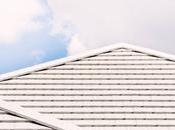Zinc Roof Strips: Guide Homeowners