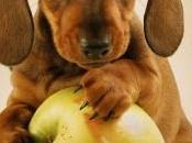 Introducing Adult Food Your