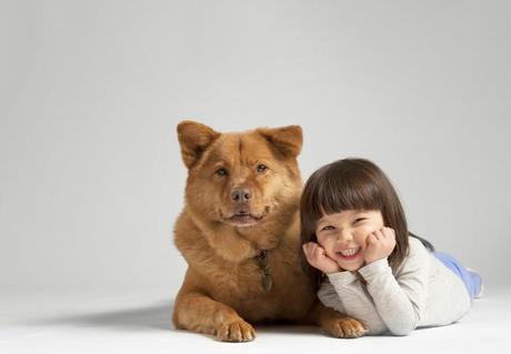 How to keep your Children Safe when getting a Family Dog