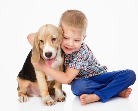 How to keep your Children Safe when getting a Family Dog